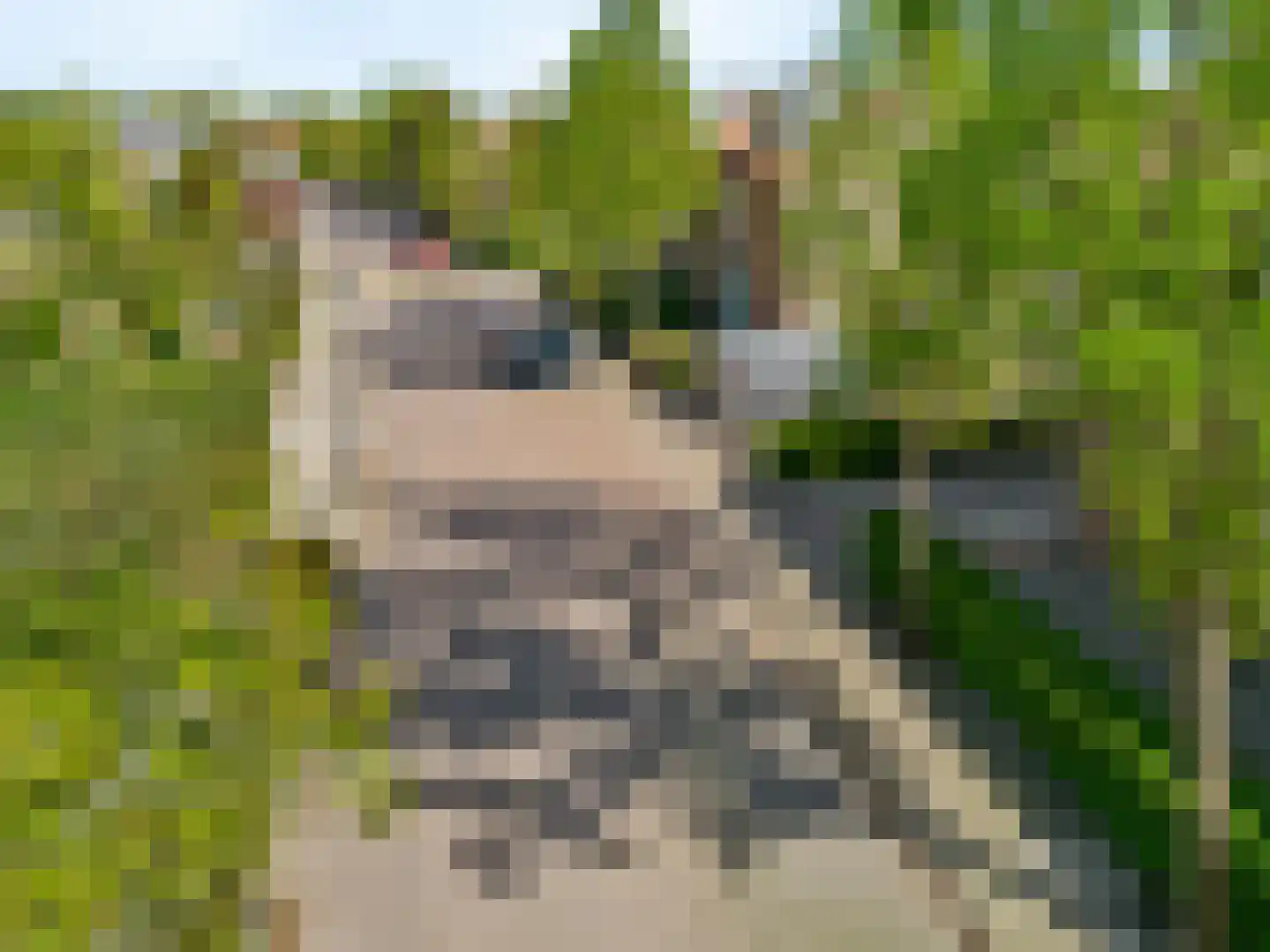 Nellestein 17 Abcoude thumbnail 38