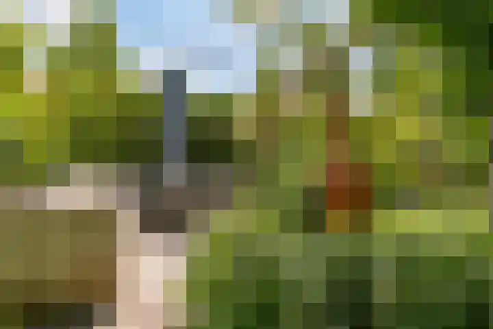 Nellestein 22 Abcoude thumbnail 10
