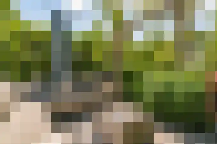 Nellestein 22 Abcoude thumbnail 11
