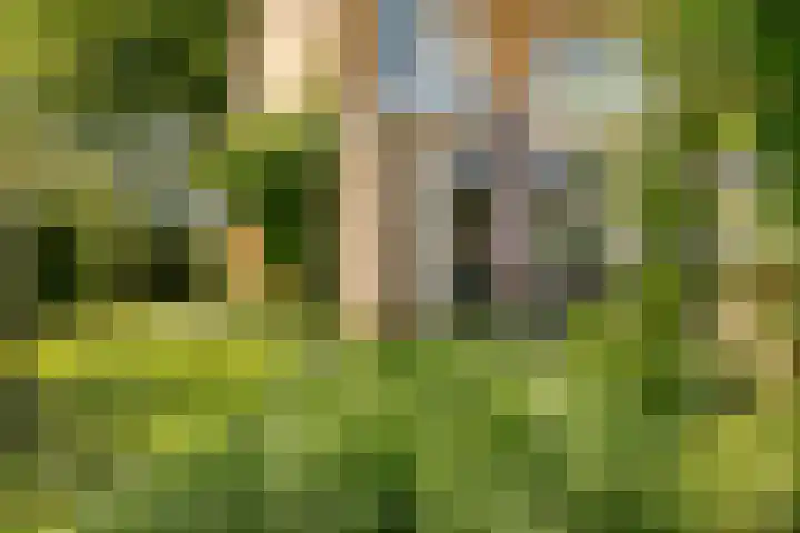 Nellestein 22 Abcoude thumbnail 13