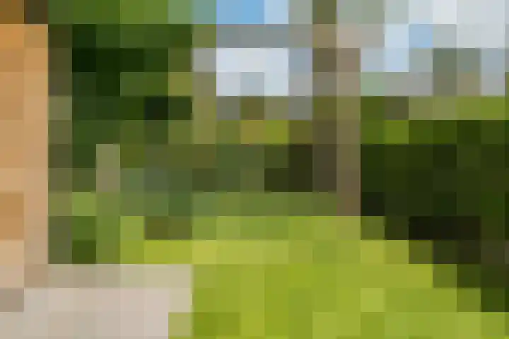 Nellestein 22 Abcoude thumbnail 14