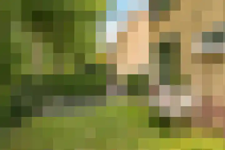 Nellestein 22 Abcoude thumbnail 15