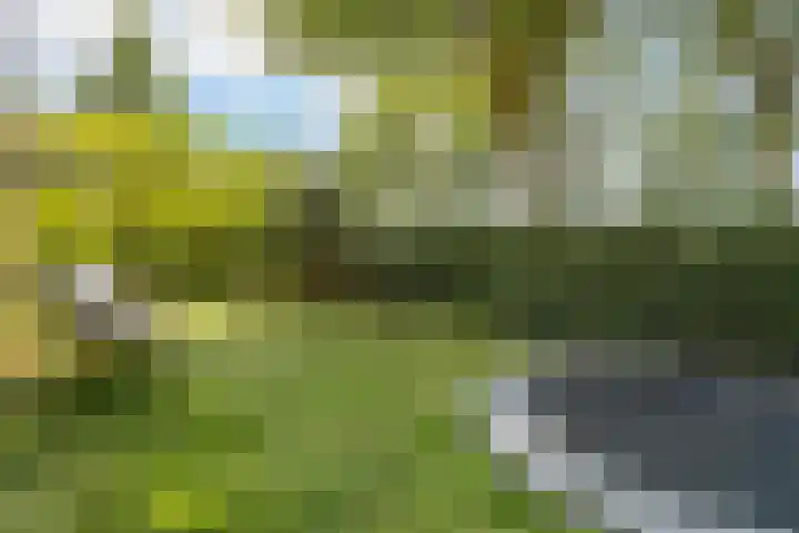 Nellestein 22 Abcoude thumbnail 16