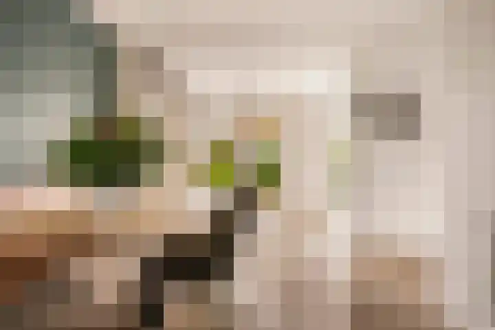 Nellestein 22 Abcoude thumbnail 17