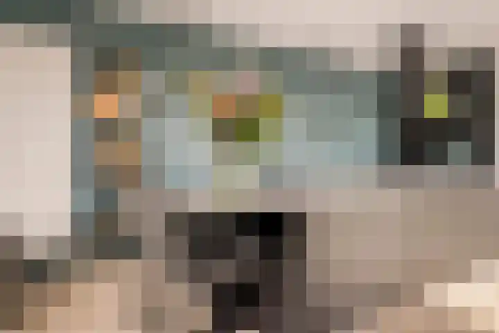 Nellestein 22 Abcoude thumbnail 20