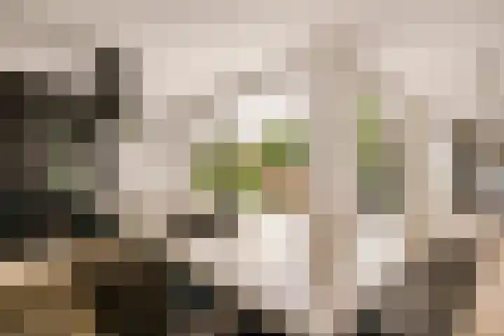 Nellestein 22 Abcoude thumbnail 21