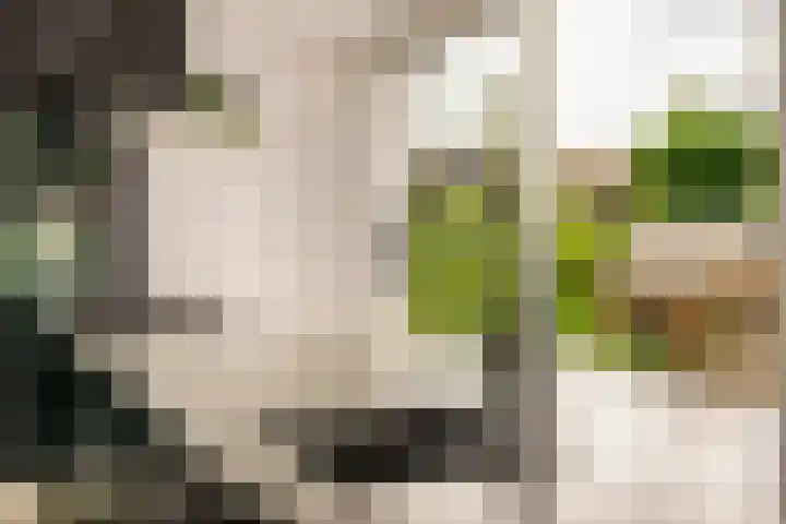 Nellestein 22 Abcoude thumbnail 22