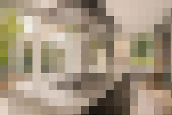 Nellestein 22 Abcoude thumbnail 23