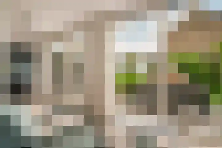 Nellestein 22 Abcoude thumbnail 26