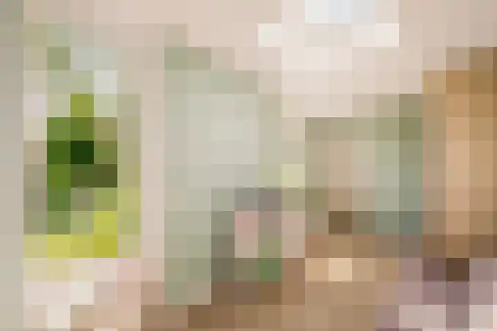 Nellestein 22 Abcoude thumbnail 29