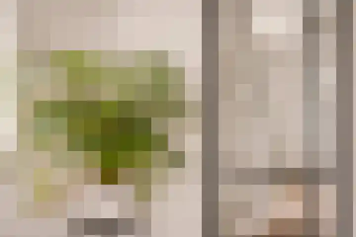 Nellestein 22 Abcoude thumbnail 30