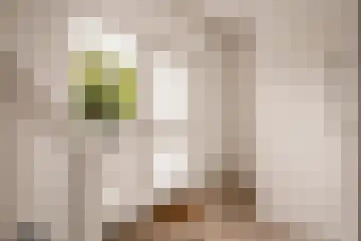 Nellestein 22 Abcoude thumbnail 31