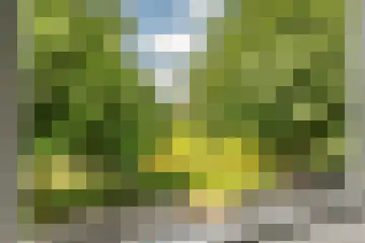 Nellestein 22 Abcoude thumbnail 35