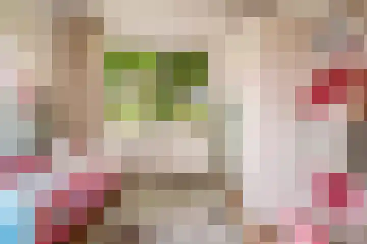 Nellestein 22 Abcoude thumbnail 37