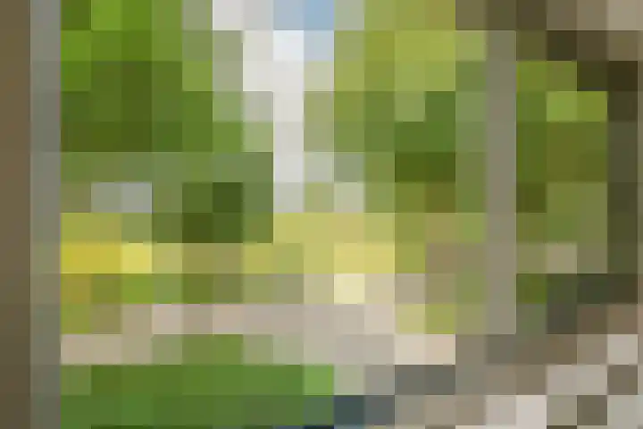 Nellestein 22 Abcoude thumbnail 47