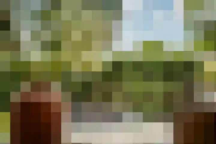 Nellestein 22 Abcoude thumbnail 5