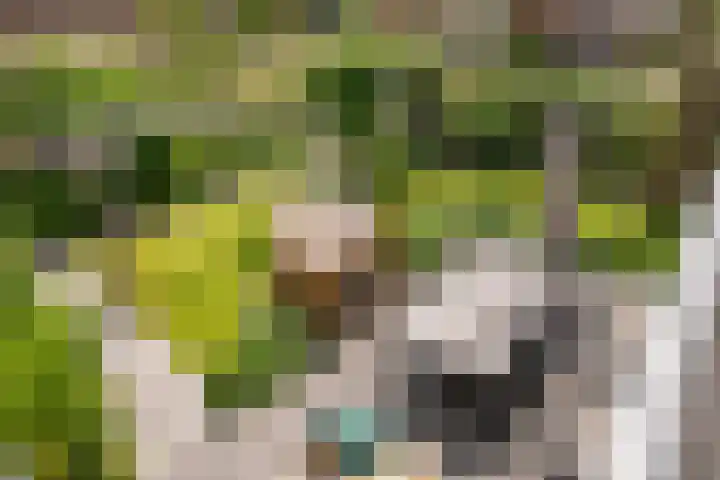 Nellestein 22 Abcoude thumbnail 52