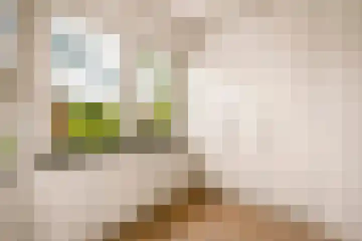 Nellestein 22 Abcoude thumbnail 53