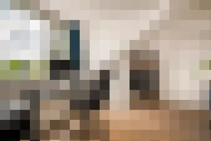 Nellestein 22 Abcoude thumbnail 55