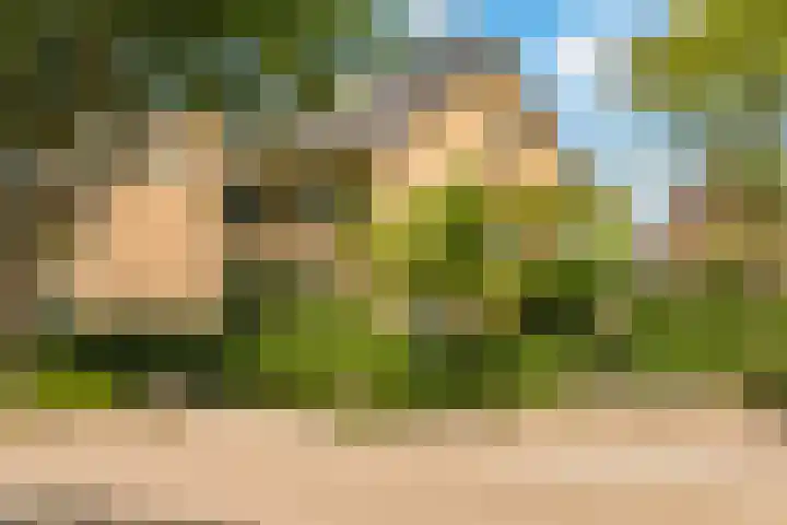 Nellestein 22 Abcoude thumbnail 57
