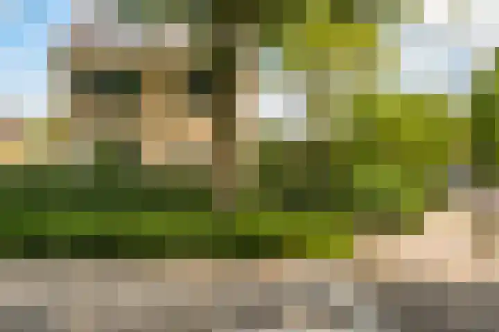 Nellestein 22 Abcoude thumbnail 58