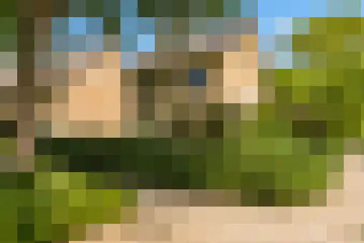 Nellestein 22 Abcoude thumbnail 59
