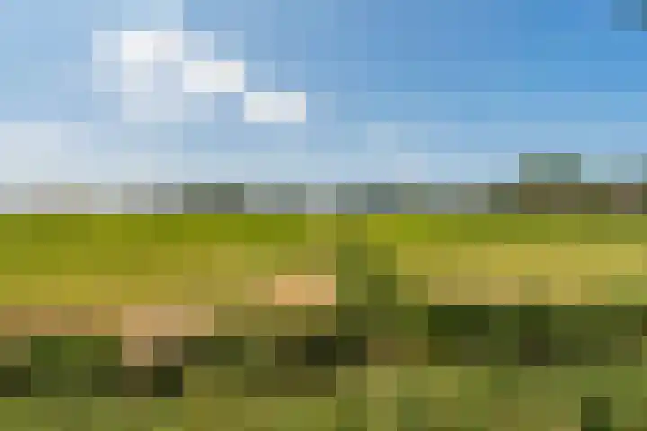 Nellestein 22 Abcoude thumbnail 61