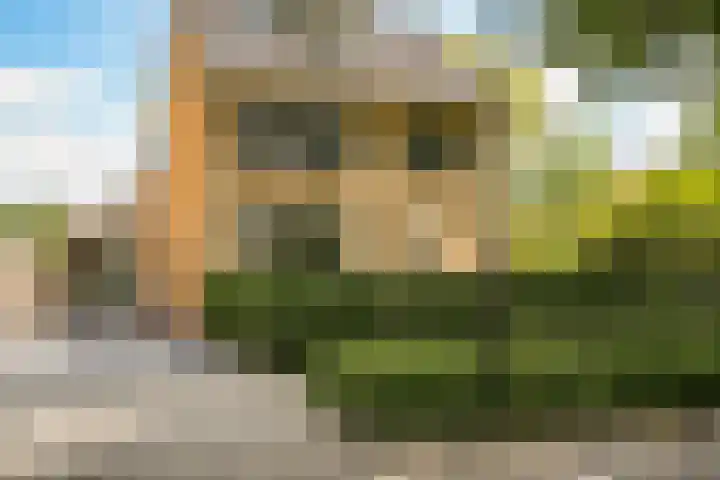 Nellestein 22 Abcoude thumbnail 65