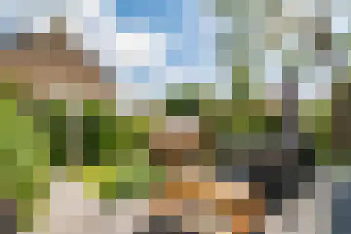 Nellestein 22 Abcoude thumbnail 7
