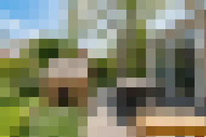 Nellestein 22 Abcoude thumbnail 8
