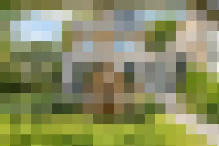 Nellestein 22 Abcoude thumbnail 9