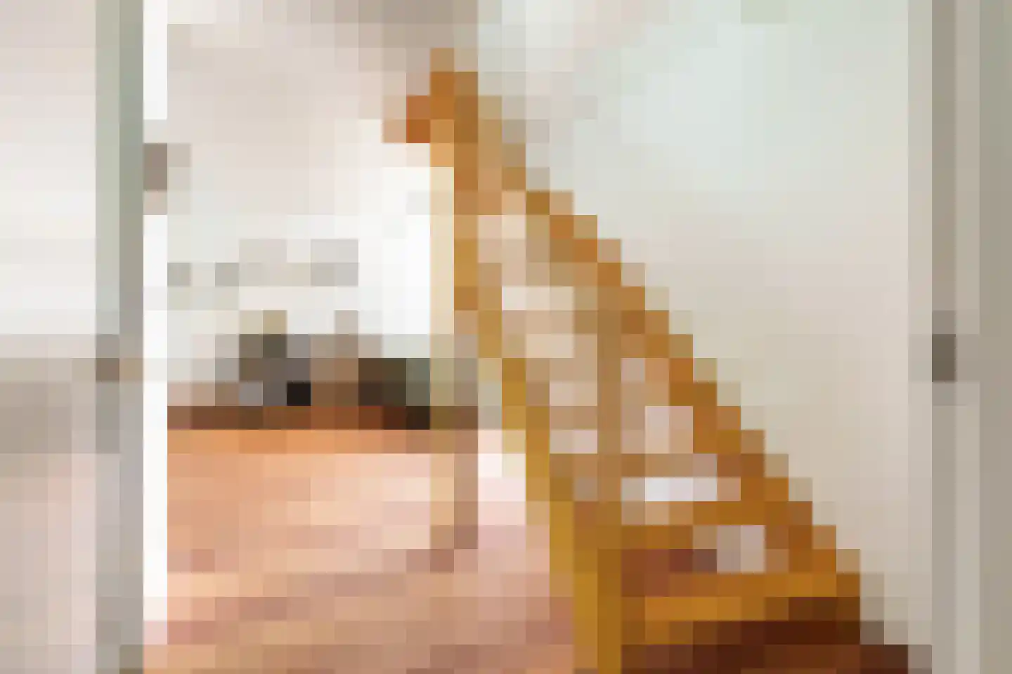 Nellie van Kolstraat 11 Amsterdam thumbnail 14