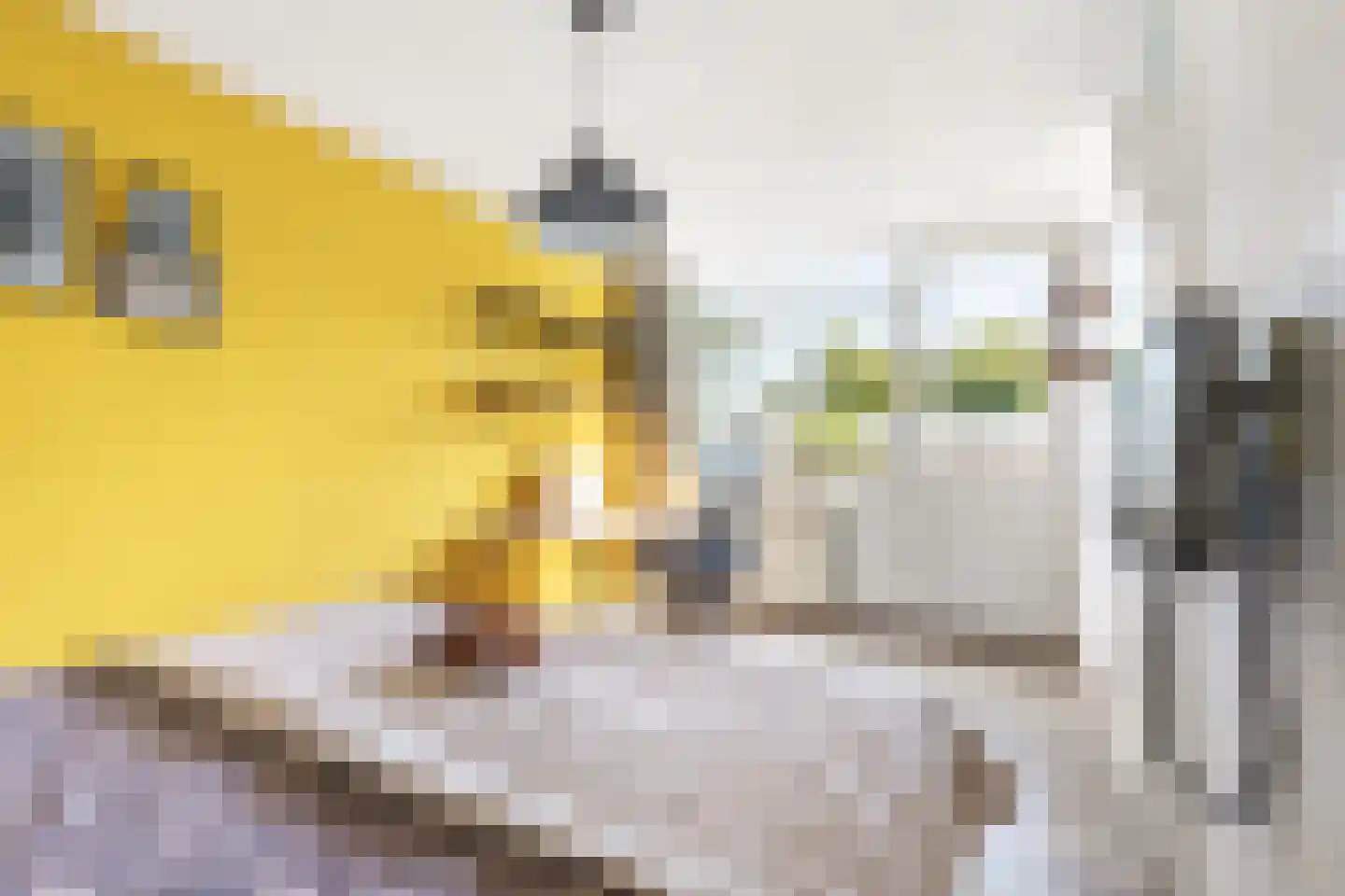 Nellie van Kolstraat 11 Amsterdam thumbnail 17