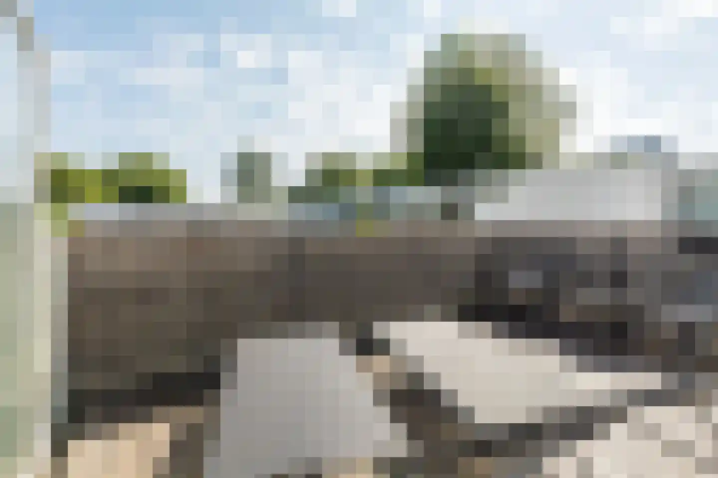 Nellie van Kolstraat 11 Amsterdam thumbnail 18