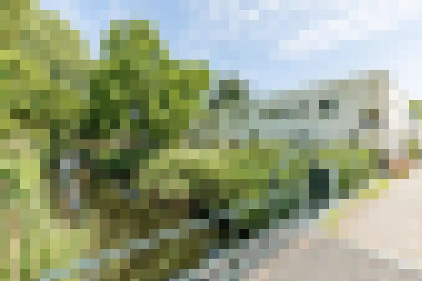 Nellie van Kolstraat 11 Amsterdam thumbnail 39