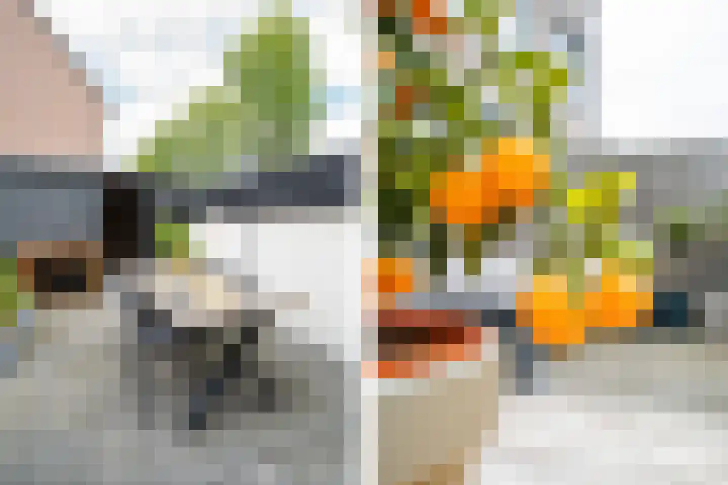 Nellie van Kolstraat 2 Gorinchem thumbnail 37