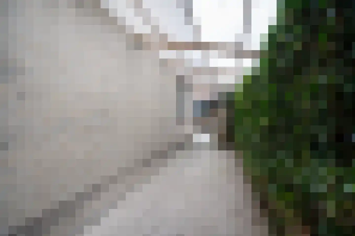 Nellie van Kolstraat 2 Gorinchem thumbnail 41