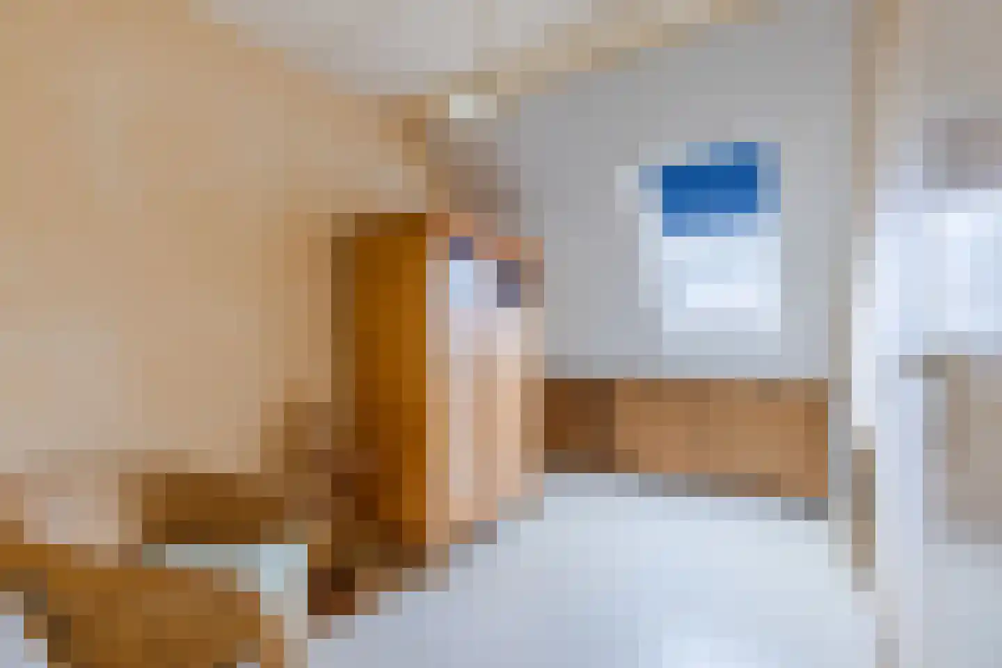 Nellie van Kolstraat 22 Zaandam thumbnail 23