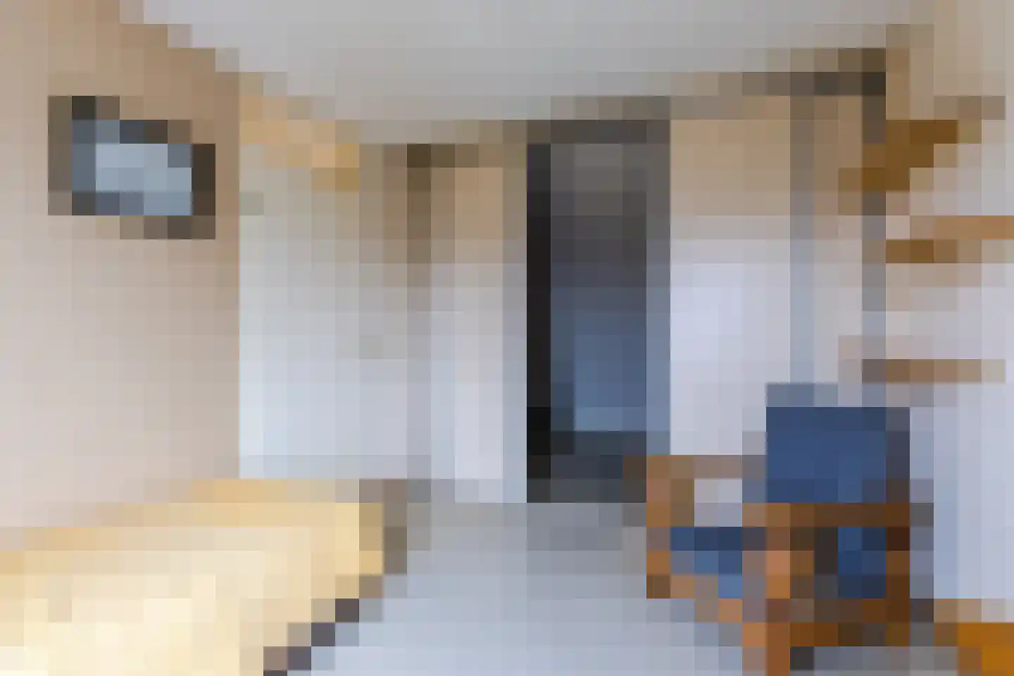 Nellie van Kolstraat 22 Zaandam thumbnail 32