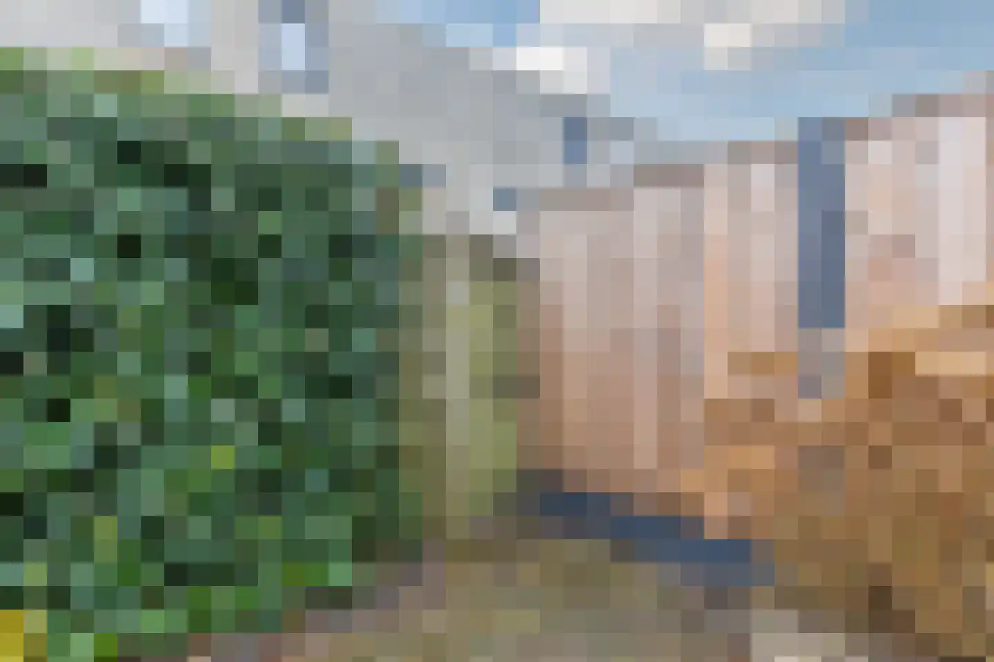 Nellie van Kolstraat 22 Zaandam thumbnail 41