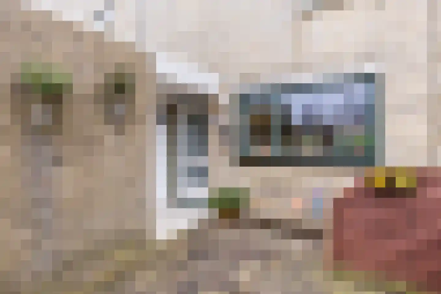 Nellie van Kolstraat 22 Zaandam thumbnail 8