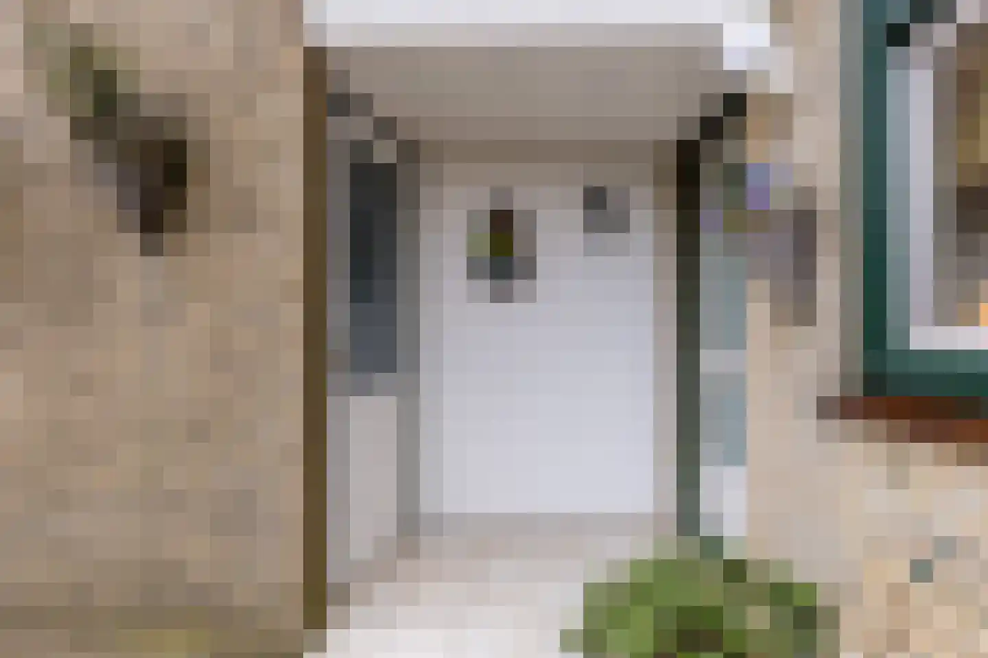 Nellie van Kolstraat 22 Zaandam thumbnail 9