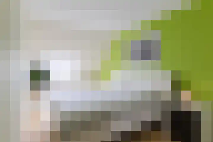 Nelly Boudewijnsstraat 17 Breda thumbnail 11