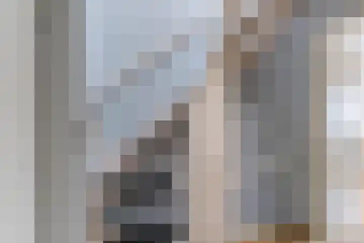 Nelly Boudewijnsstraat 17 Breda thumbnail 20