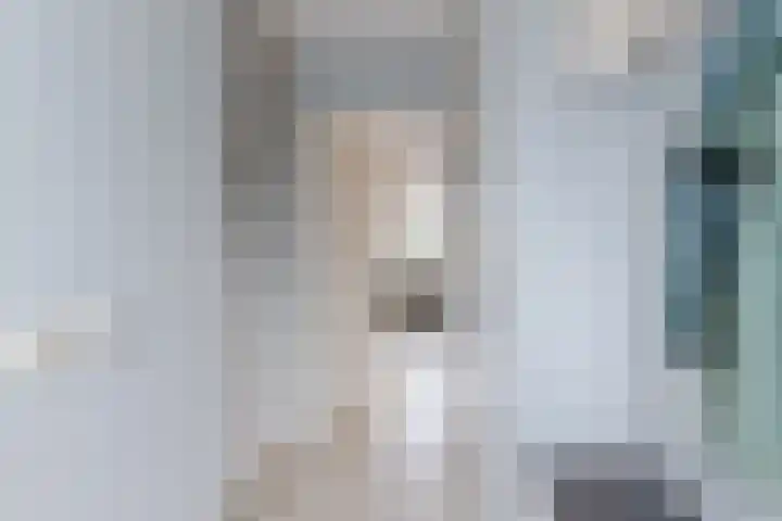 Nelly Boudewijnsstraat 17 Breda thumbnail 4