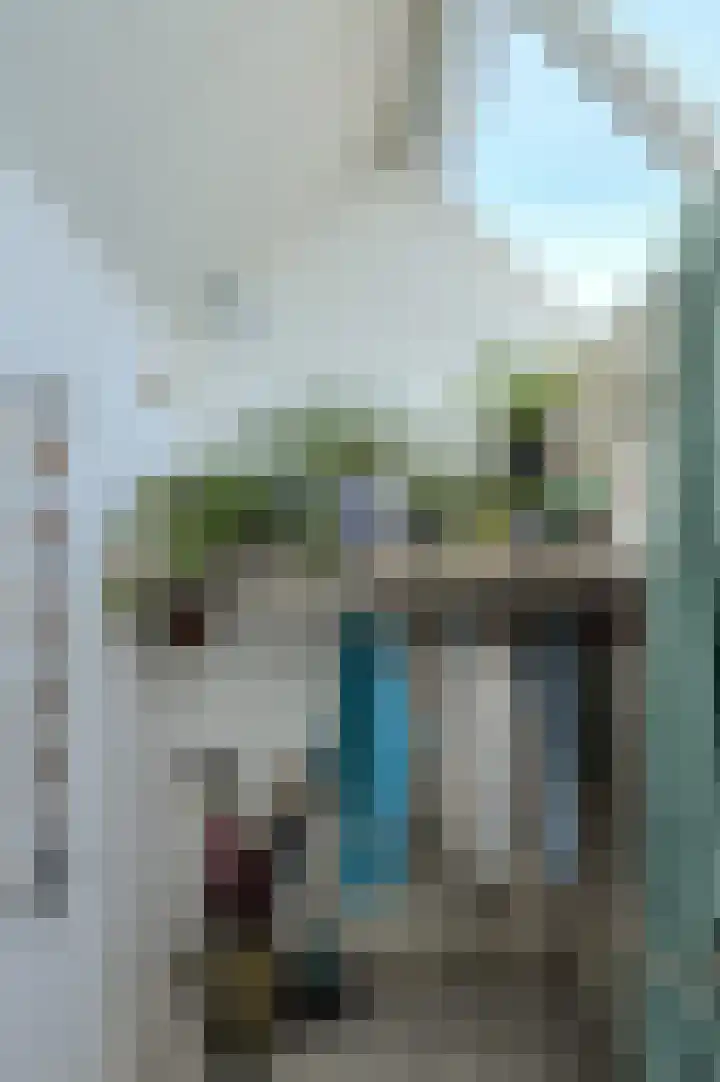 Nelly Boudewijnsstraat 20 Breda thumbnail 22