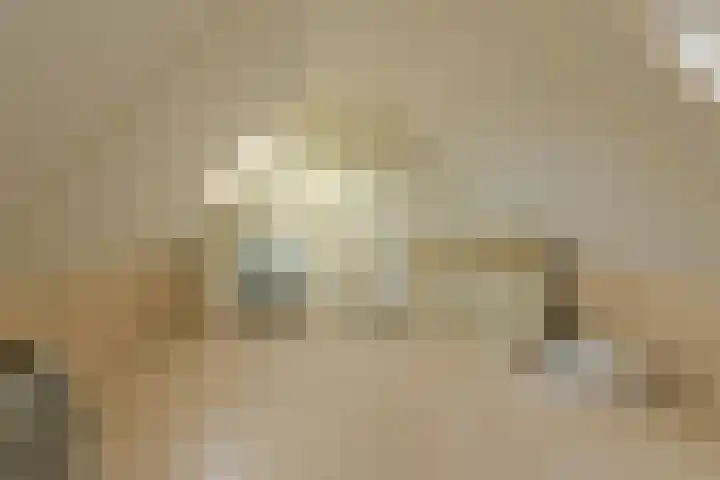 Nelly Boudewijnsstraat 20 Breda thumbnail 37