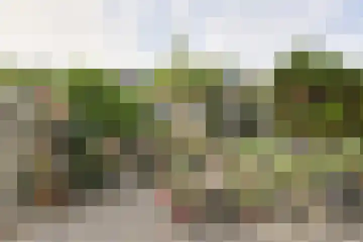 Nelly Boudewijnsstraat 20 Breda thumbnail 38