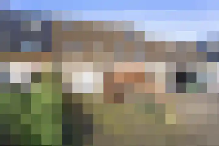 Nelly Boudewijnsstraat 3 Breda thumbnail 24