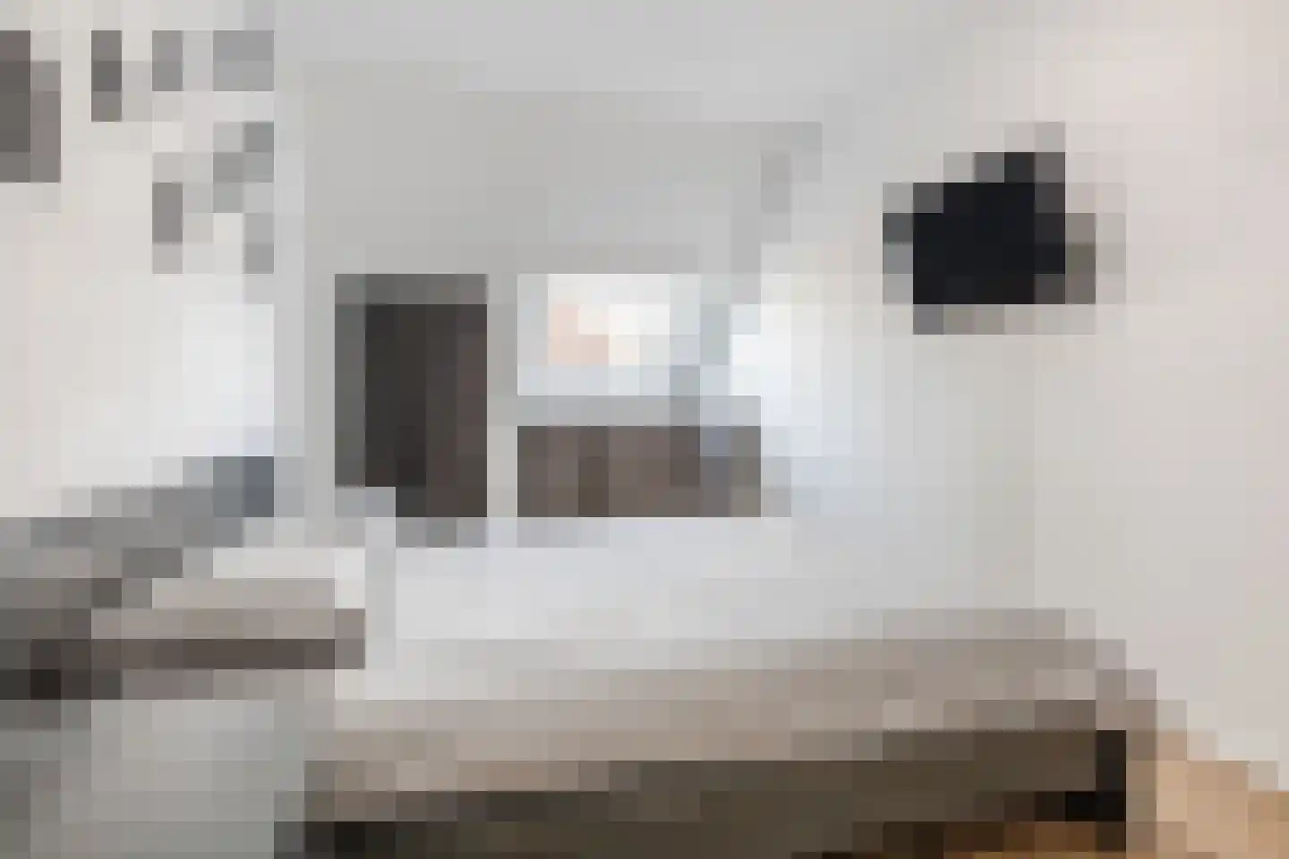 Nelly Boudewijnsstraat 33 Breda thumbnail 17